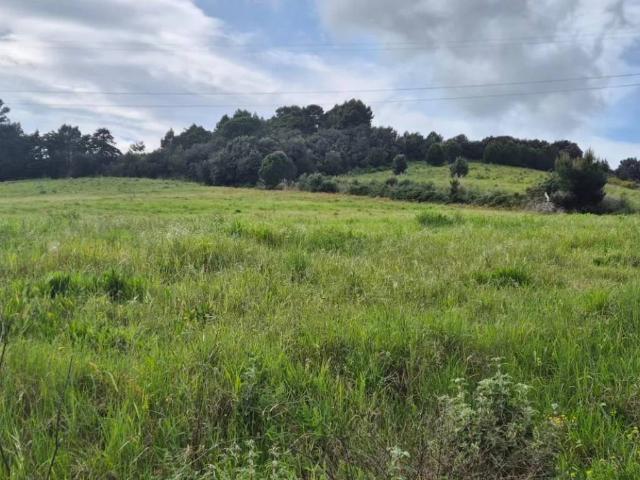 Terreno in vendita a Piombino, Toscana