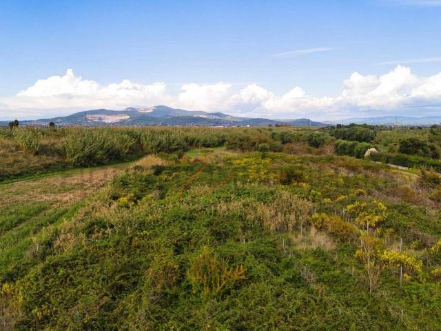 Terreno in vendita a Colmata, Piombino