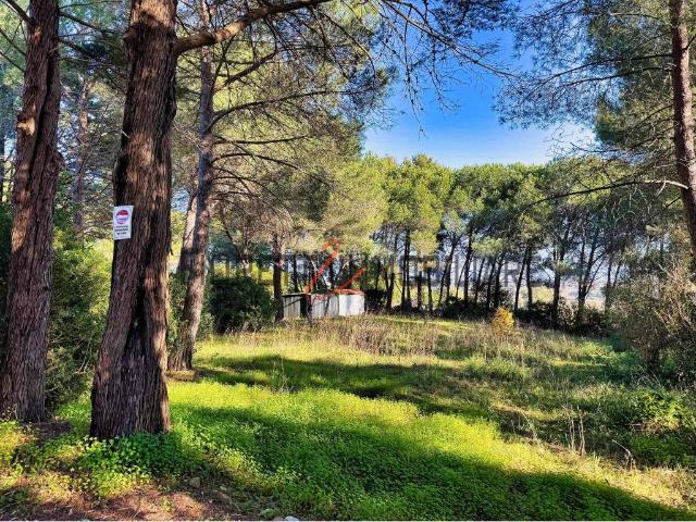 Terreno in vendita a Poggetto, Piombino
