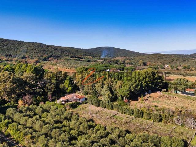Terreno in vendita a Poggetto, Piombino