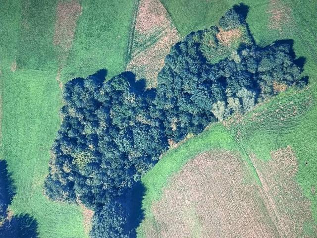 Terreno in vendita a Piemonte, Torino