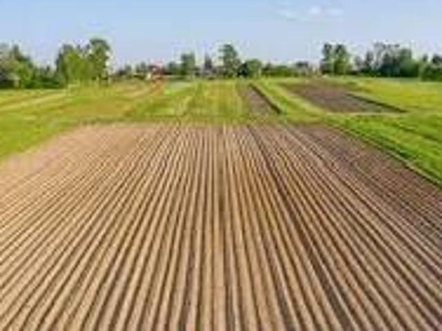 Terreno in vendita a Quartiere Sant'Anna, Piove Di Sacco