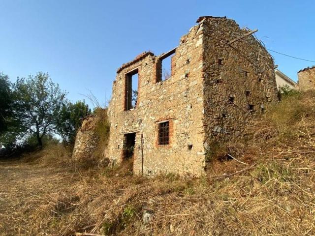 Terreno in vendita a Piraino, Sicilia