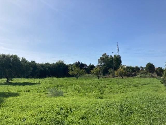 Terreno in vendita a Pisa, Toscana