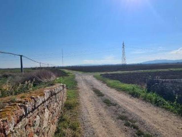 Terreno in vendita a Pisa, Toscana