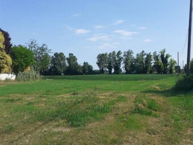 Terreno in vendita a Pisa, Toscana