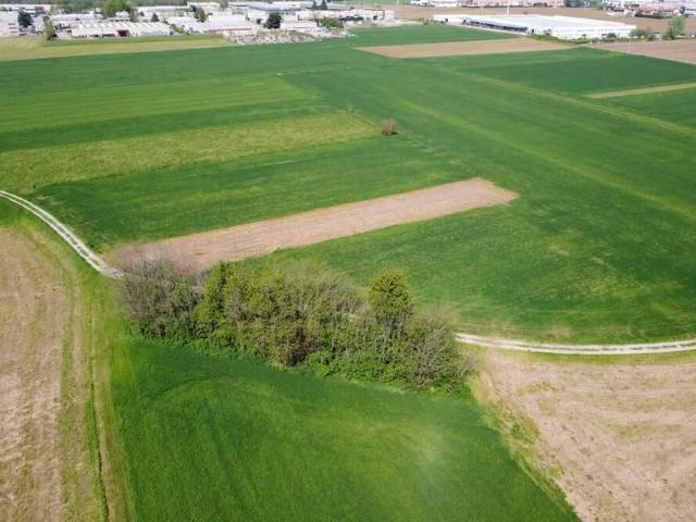 Terreno in vendita a Pisa, Toscana
