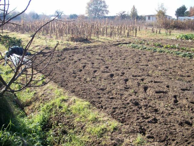 Terreno in vendita a Cisanello, Pisa