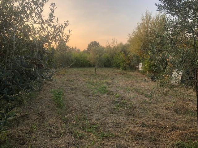 Terreno in vendita a San Marco, Pisa