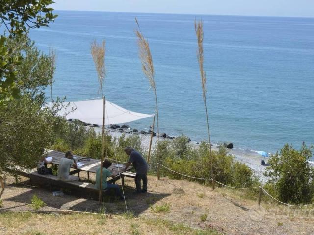 Terreno in vendita a Pisciotta, Campania