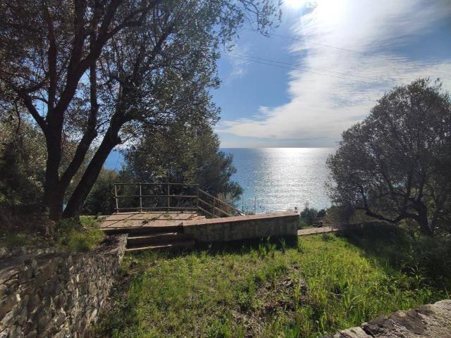 Terreno in vendita a Pisciotta, Campania