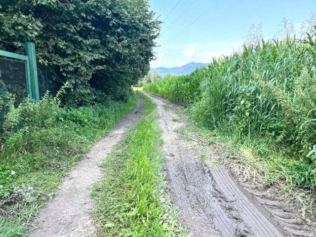 Terreno in vendita a Comunità montana del Sebino bresciano, Pisogne