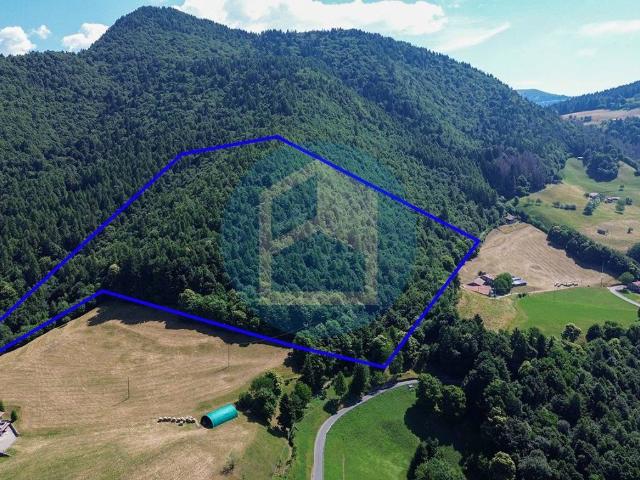 Terreno in vendita a Comunità montana del Sebino bresciano, Pisogne