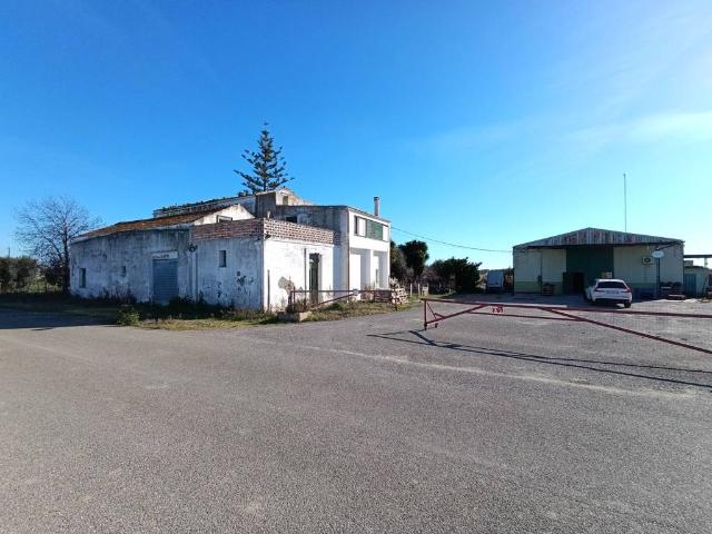 Terreno in vendita a Pisticci, Basilicata