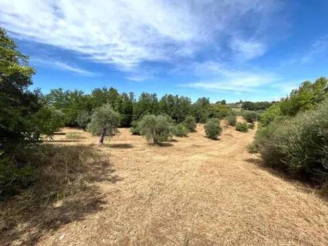 Terreno in vendita a Pisticci, Basilicata