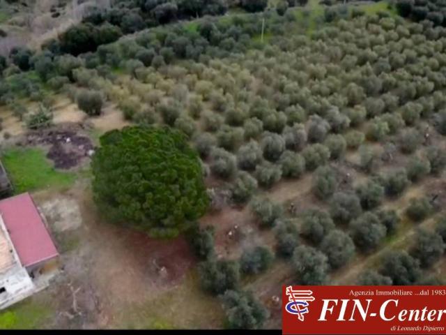 Terreno in vendita a Pisticci, Basilicata