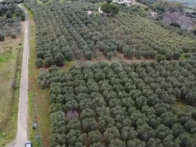 Terreno in vendita a Pisticci, Basilicata