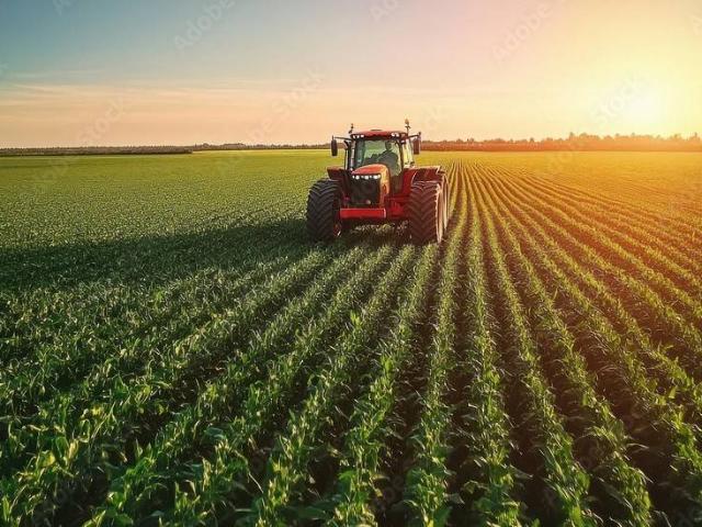 Terreno in vendita a Pisticci, Basilicata