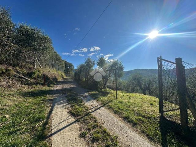 Terreno in vendita a Pistoia, Toscana