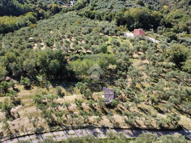 Terreno in vendita a Pistoia, Toscana