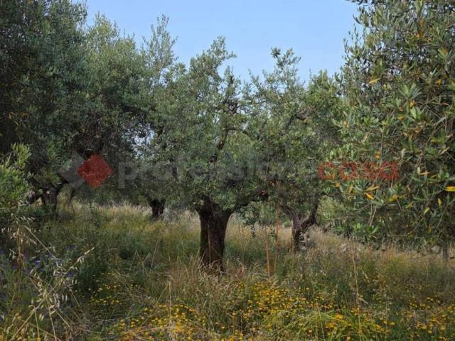 Terreno in vendita a Valdibure, Pistoia