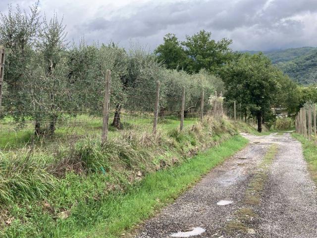 Terreno in vendita a Gello, Pistoia