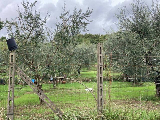 Terreno in vendita a Gello, Pistoia
