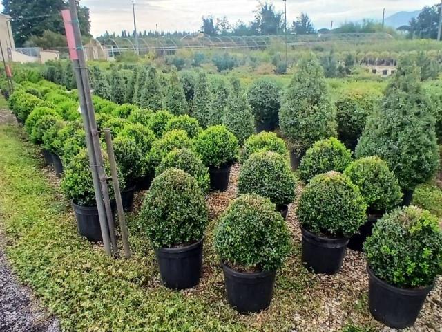 Terreno in vendita a Bargi, Pistoia