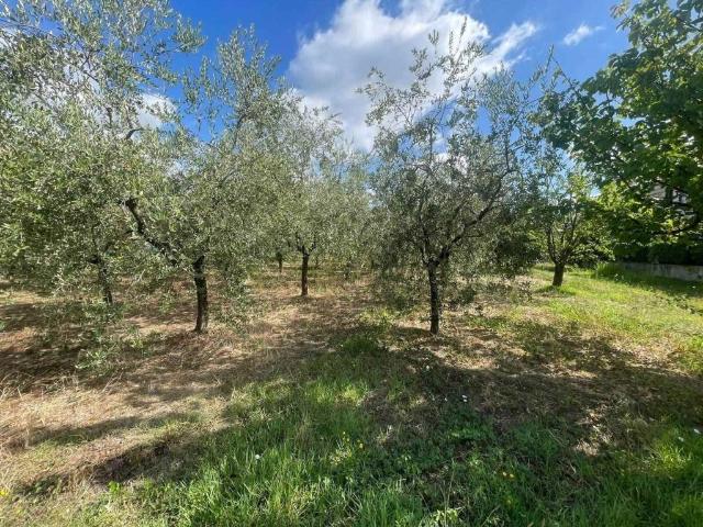 Terreno in vendita a Le Fornaci, Pistoia