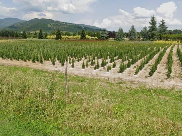Terreno in vendita a Pistoia, Toscana