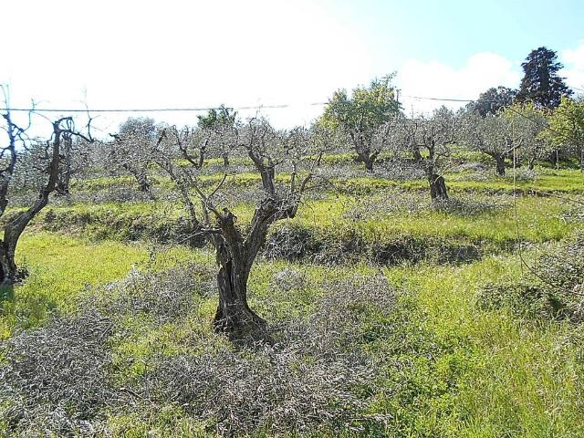 Terreno in vendita a Pistoia, Toscana