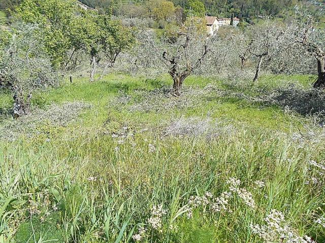 Terreno in vendita a Pistoia, Toscana