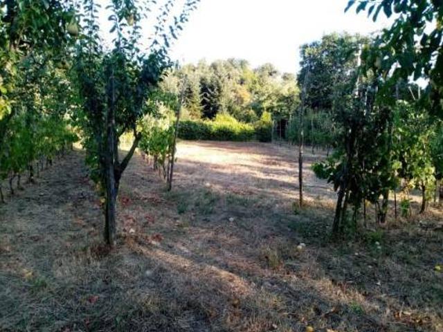 Terreno in vendita a Ponte a Calcaiola, Pistoia