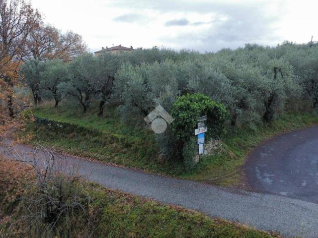 Terreno in vendita a Piazza, Pistoia