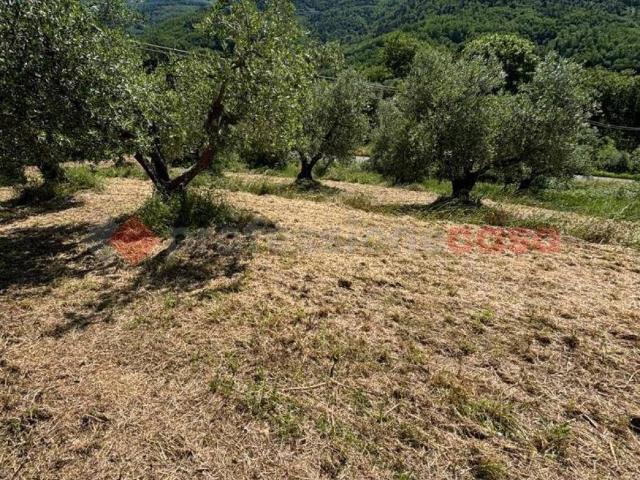 Terreno in vendita a Le Grazie, Pistoia