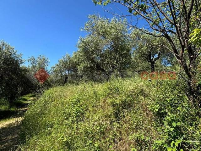 Terreno in vendita a Le Grazie, Pistoia
