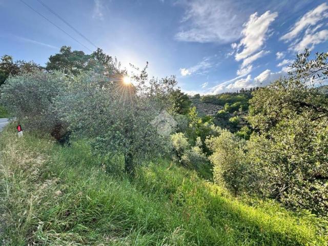 Terreno in vendita a Gello, Pistoia