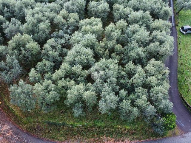 Terreno in vendita a Gello, Pistoia