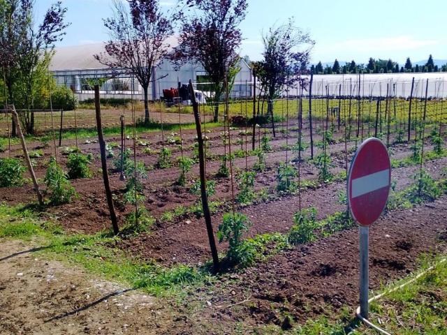 Terreno in vendita a Ramini, Pistoia
