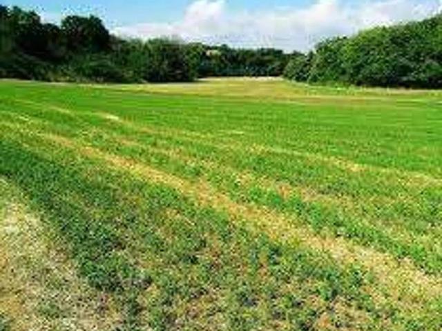 Terreno in vendita a Il Pettirosso, Pistoia