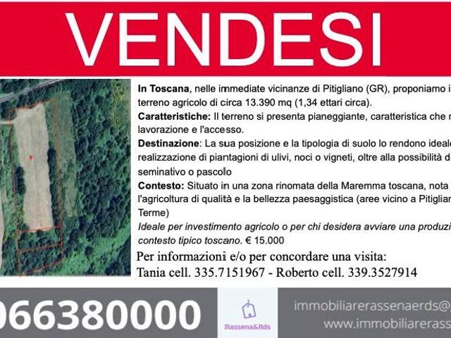 Terreno in vendita a Unione di Comuni Montani Colline del Fiora, Pitigliano