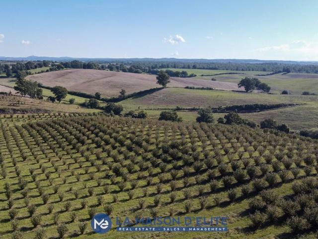 Terreno in vendita a Unione di Comuni Montani Colline del Fiora, Pitigliano
