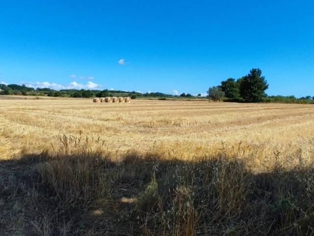 Terreno in vendita a Unione di Comuni Montani Colline del Fiora, Pitigliano