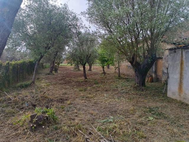 Terreno in vendita a Calabria, Vibo Valentia