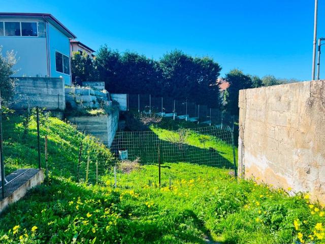 Terreno in vendita a Calabria, Vibo Valentia