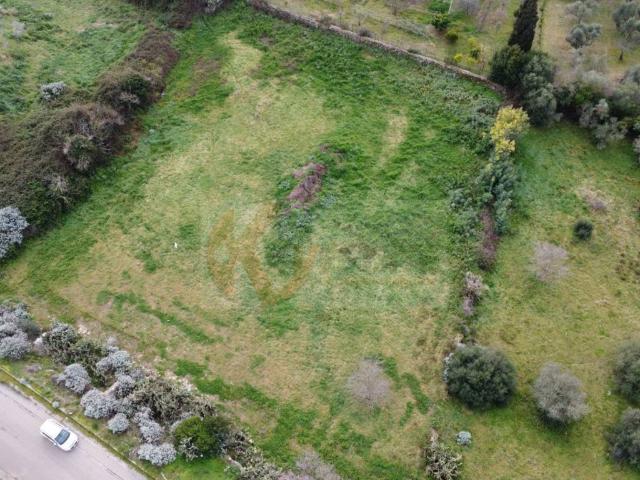 Terreno in vendita a Ploaghe, Sardigna/Sardegna