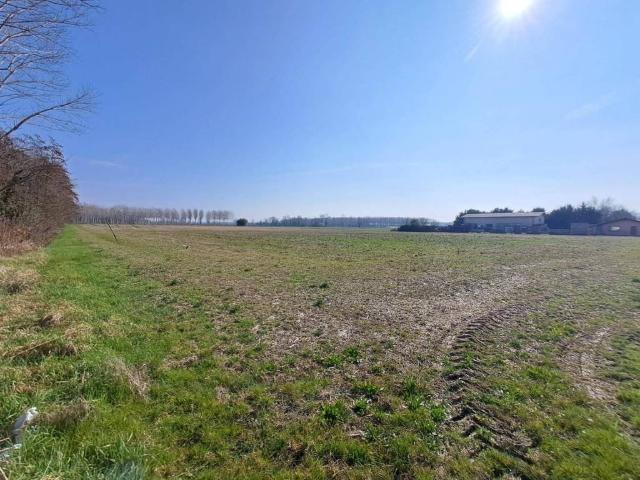Terreno in vendita a Pocenia, Friuli-Venezia Giulia