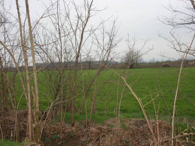 Terreno in vendita a Podenzano, Reggio Emilia