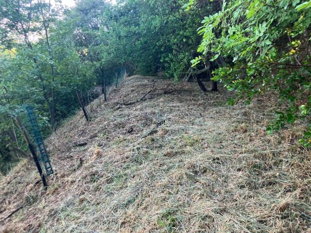 Terreno in vendita a Calcinaia, Lecchi