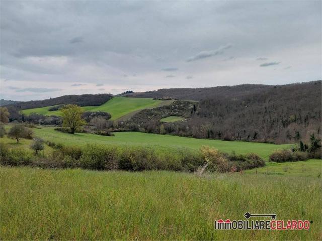 Terreno in vendita a Calcinaia, Lecchi